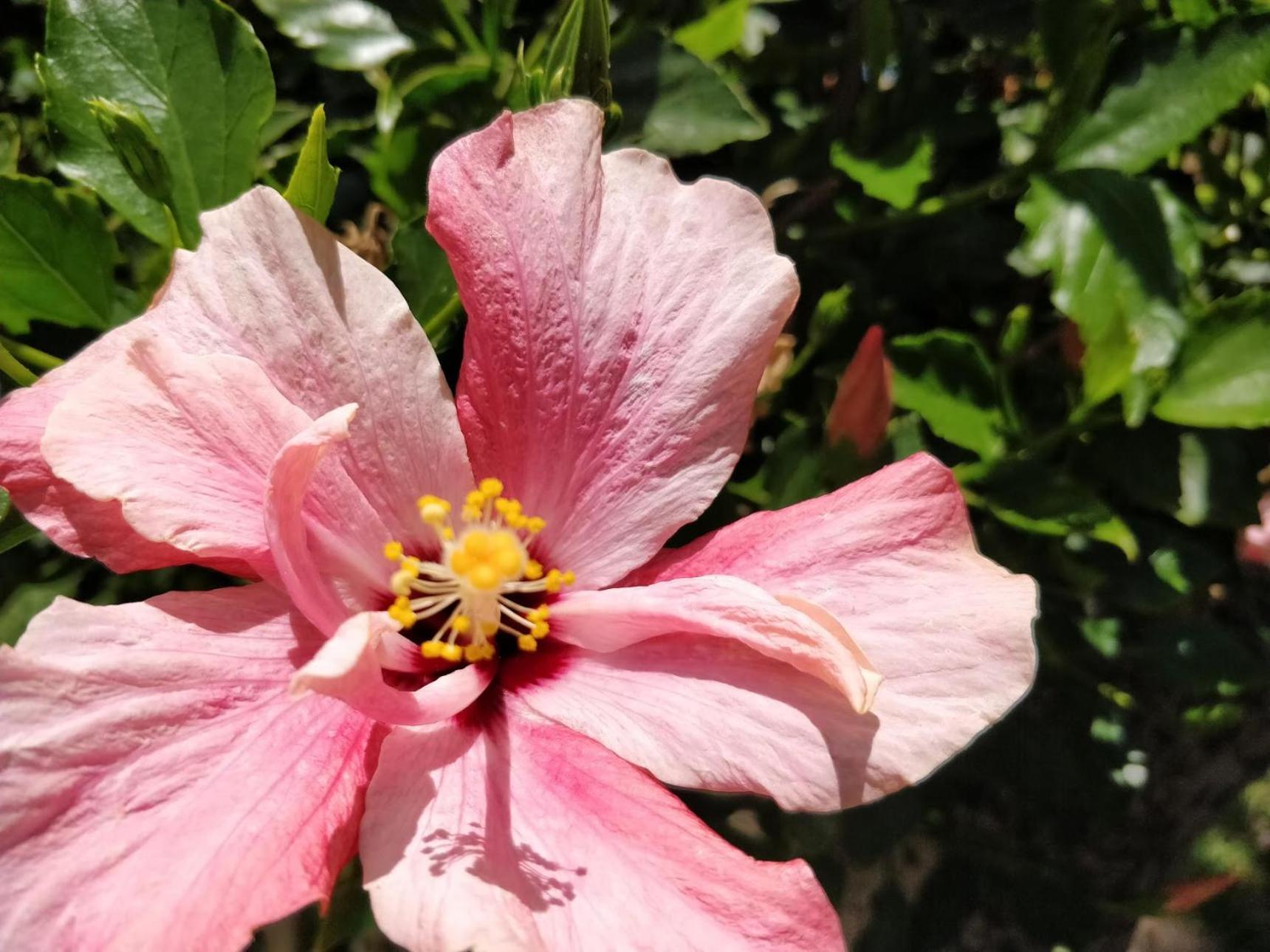 Calhau Grande 호텔 아르코다카헤타 외부 사진
